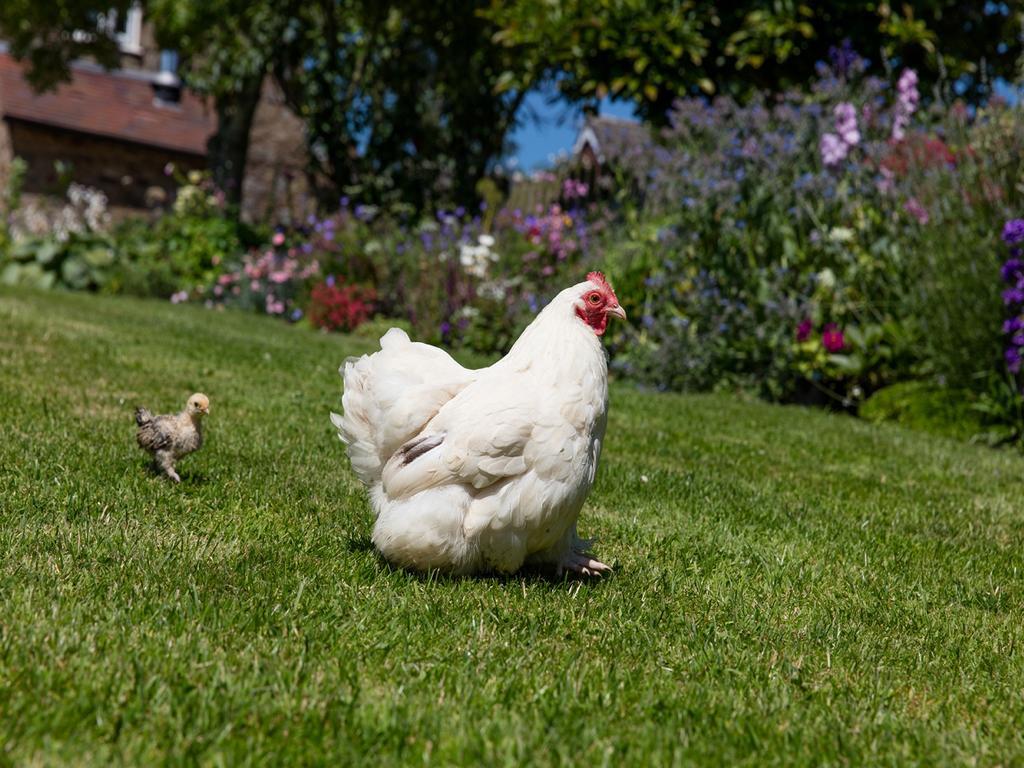 The Graig Bed & Breakfast Ludlow Farden ภายนอก รูปภาพ
