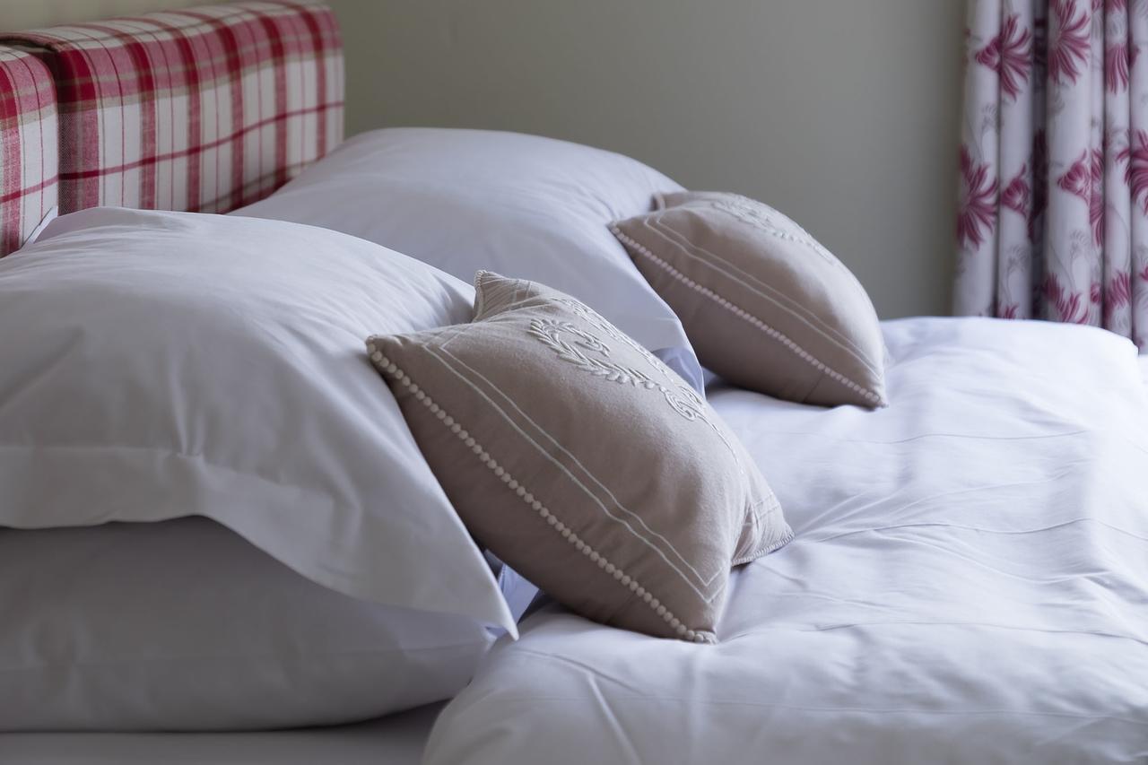 The Graig Bed & Breakfast Ludlow Farden ภายนอก รูปภาพ