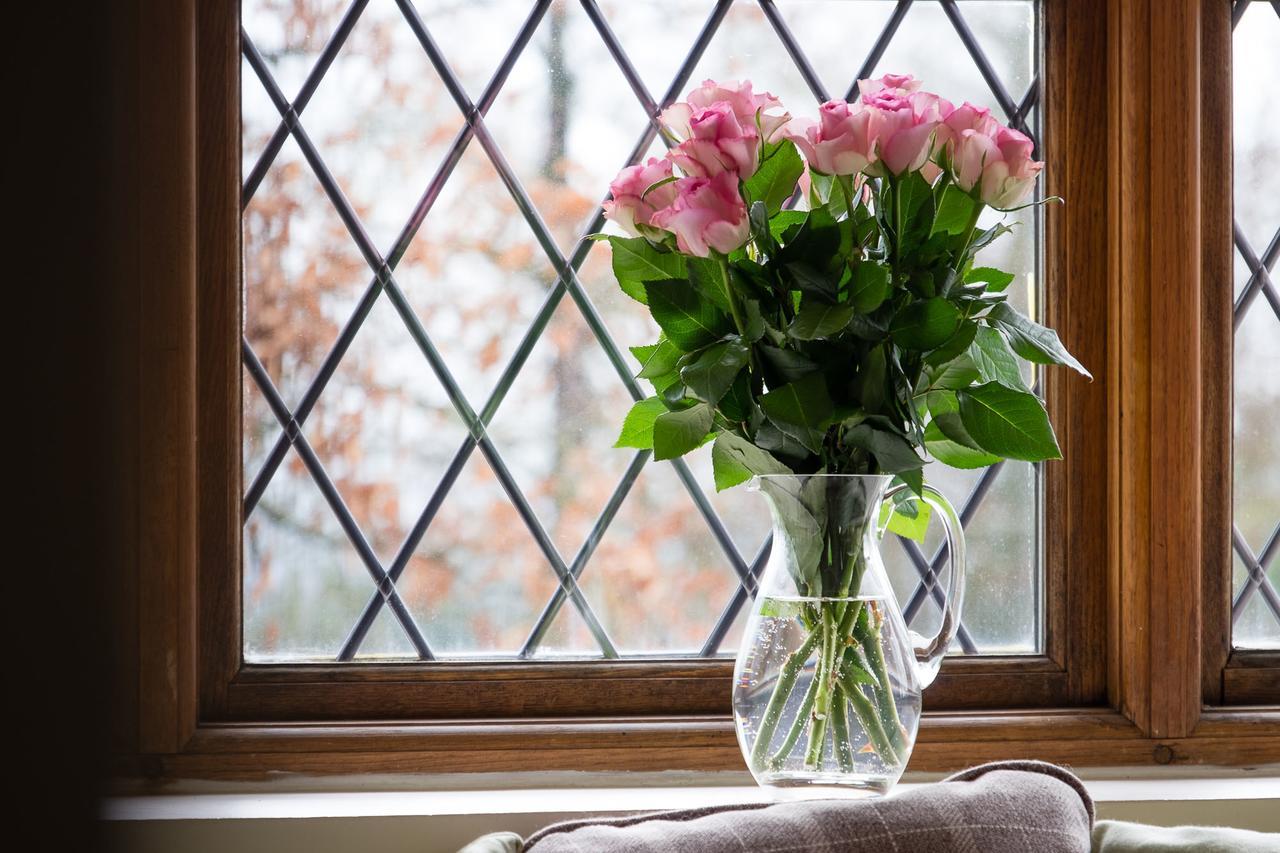 The Graig Bed & Breakfast Ludlow Farden ภายนอก รูปภาพ
