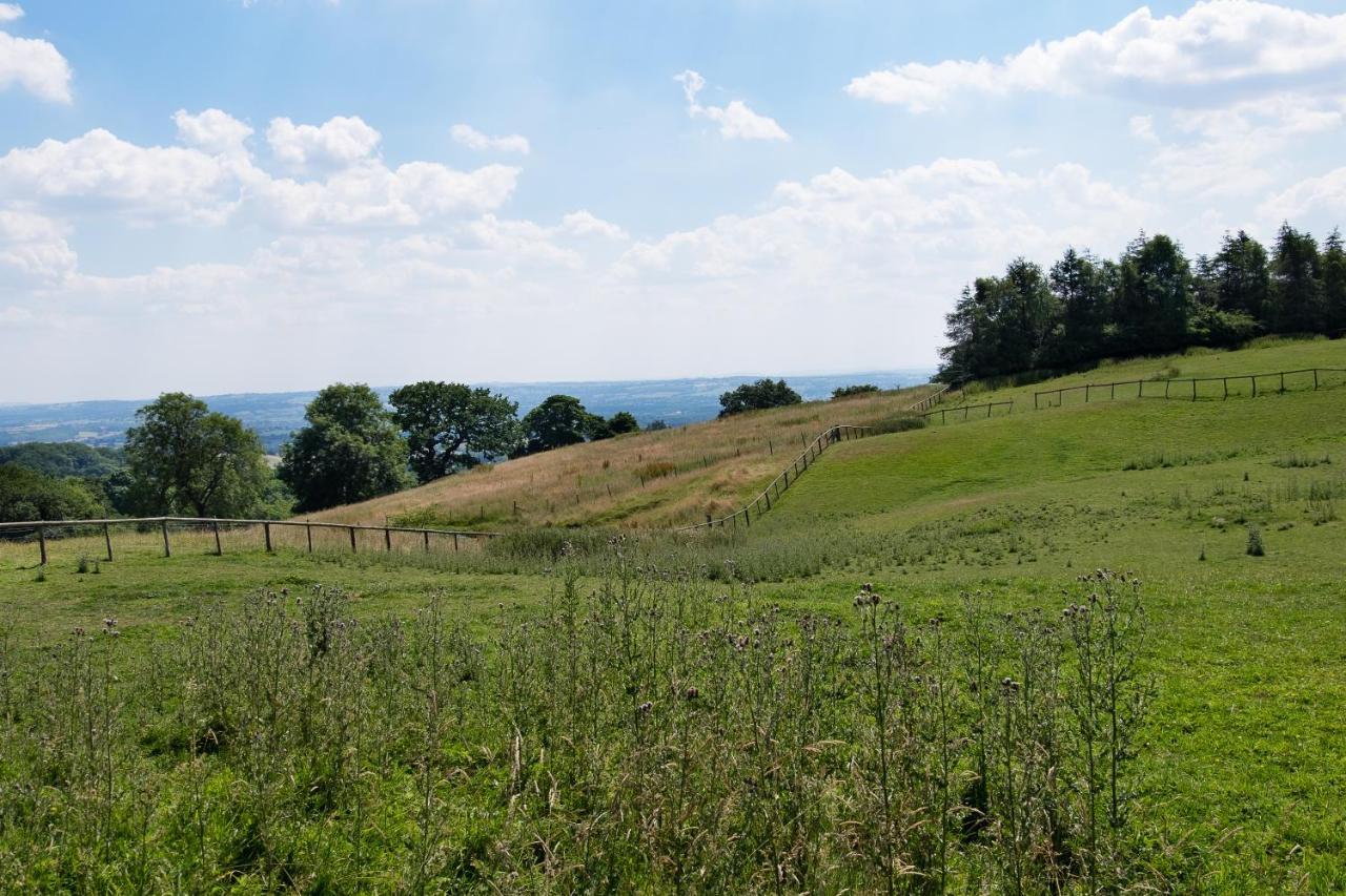 The Graig Bed & Breakfast Ludlow Farden ภายนอก รูปภาพ